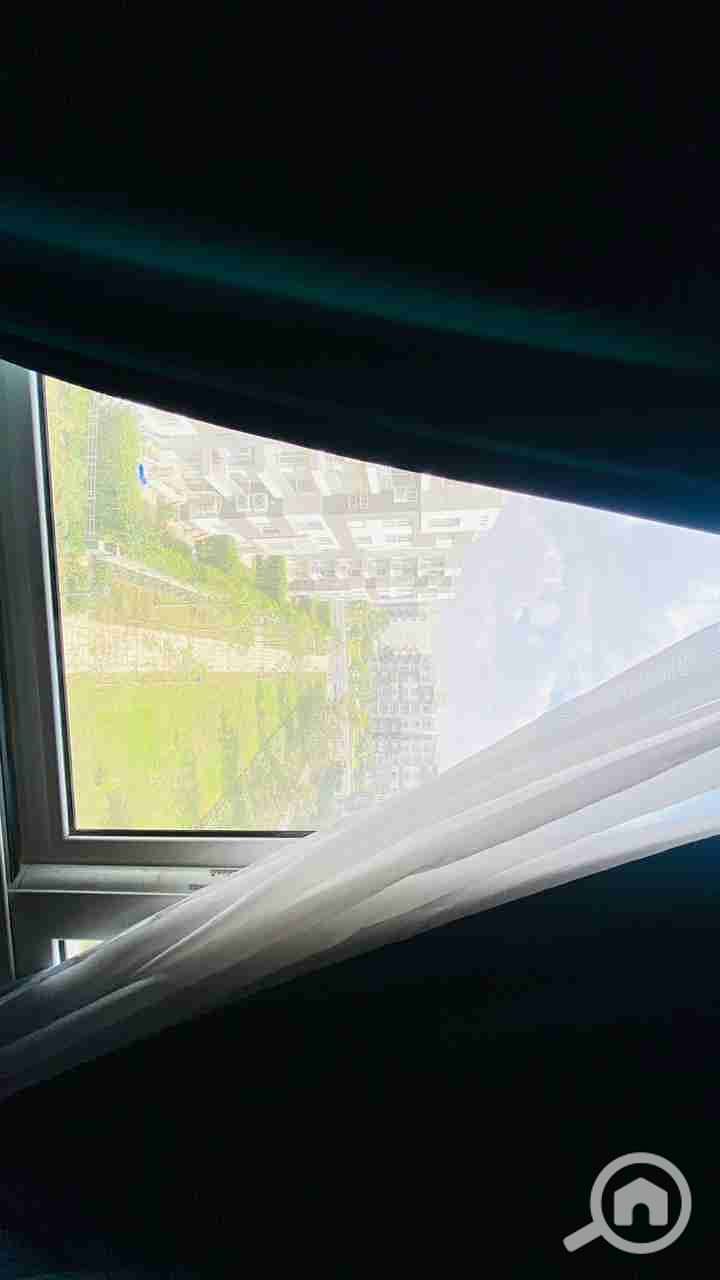 6 1000246073. jpg