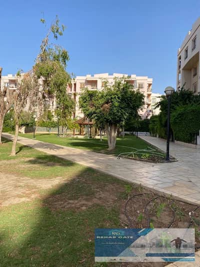 3 Bedroom Flat for Sale in New Cairo, Cairo - WhatsApp Image 2025-10-11 at 8.20. 05 PM (1). jpeg