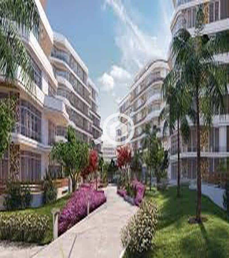 2 WhatsApp Image 2025-10-06 at 10.33. 20 AM (1)_800x900. jpg