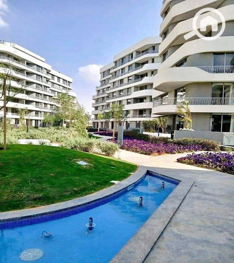 3 WhatsApp Image 2025-10-06 at 10.33. 20 AM_800x900. jpg