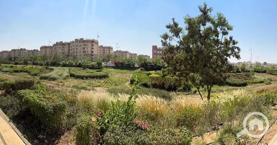 3 545876397_24205877742440737_6862681553679773041_n (1). jpg