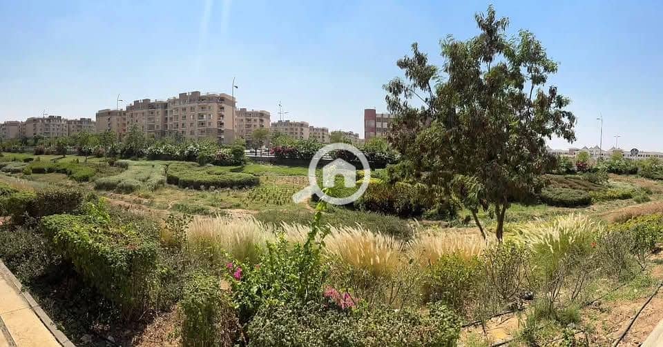 4 545876397_24205877742440737_6862681553679773041_n. jpg