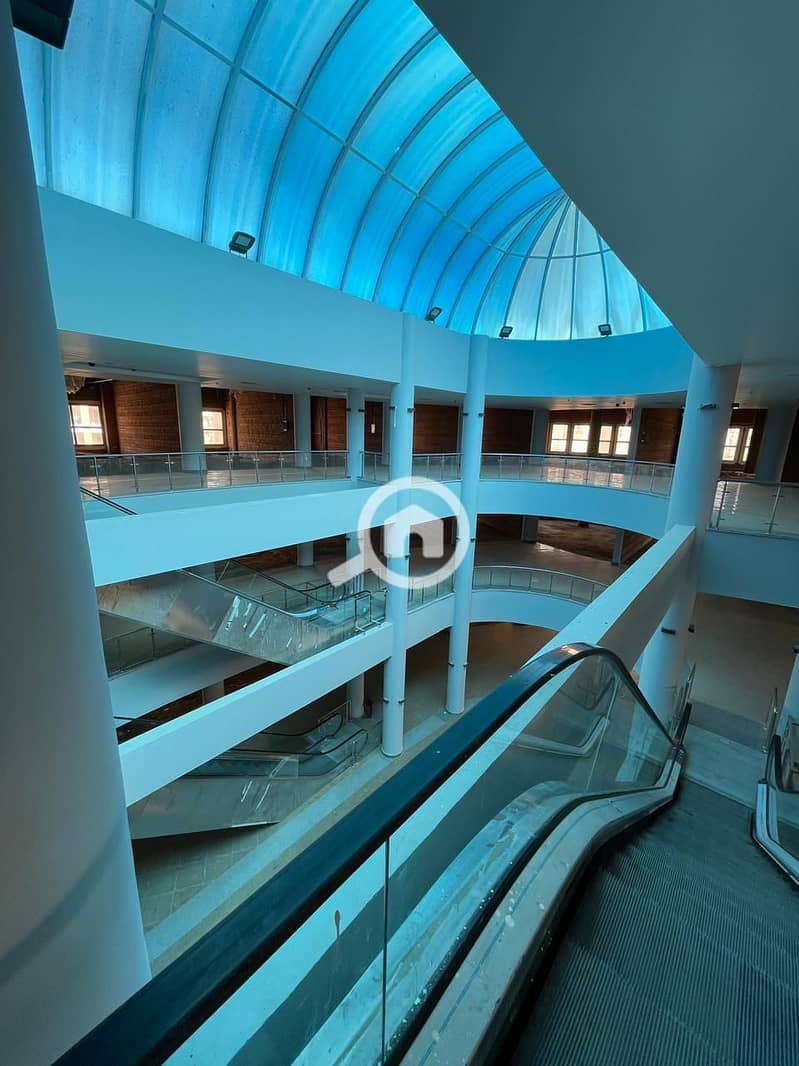 IMG-20251012-WA0239. jpg IMG-20251012-WA0239. jpg