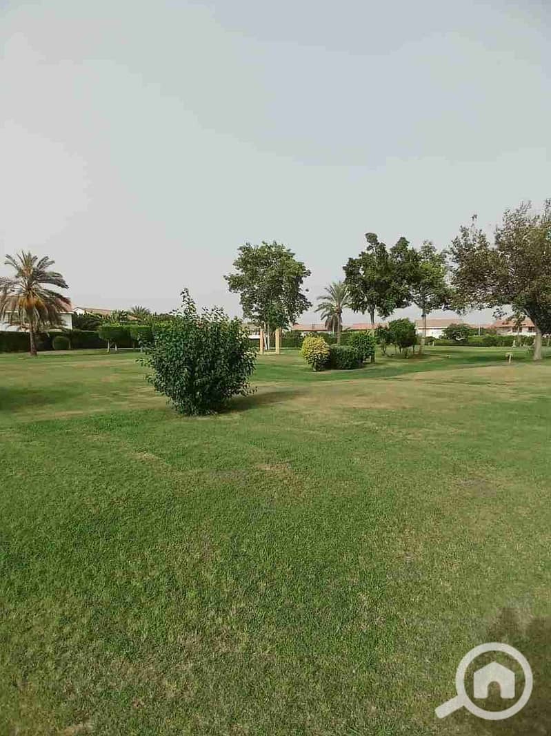 5 IMG-20251011-WA0253. jpg