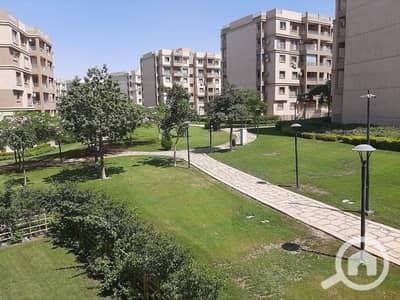 3 Bedroom Flat for Sale in Madinaty, Cairo - IMG-20251012-WA0264. jpg