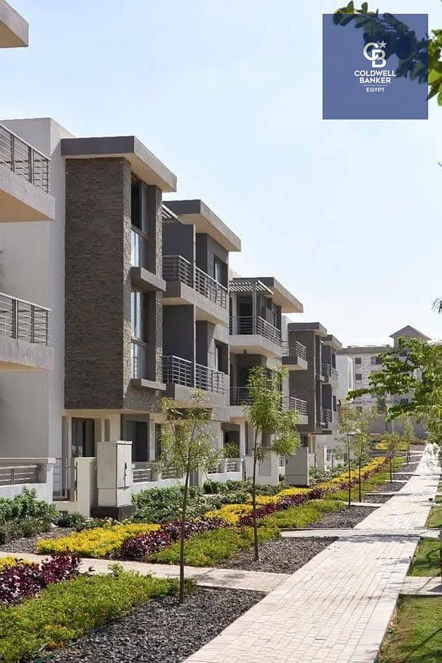 12 506647943_1382642332852195_2146267734166814820_n. jpg