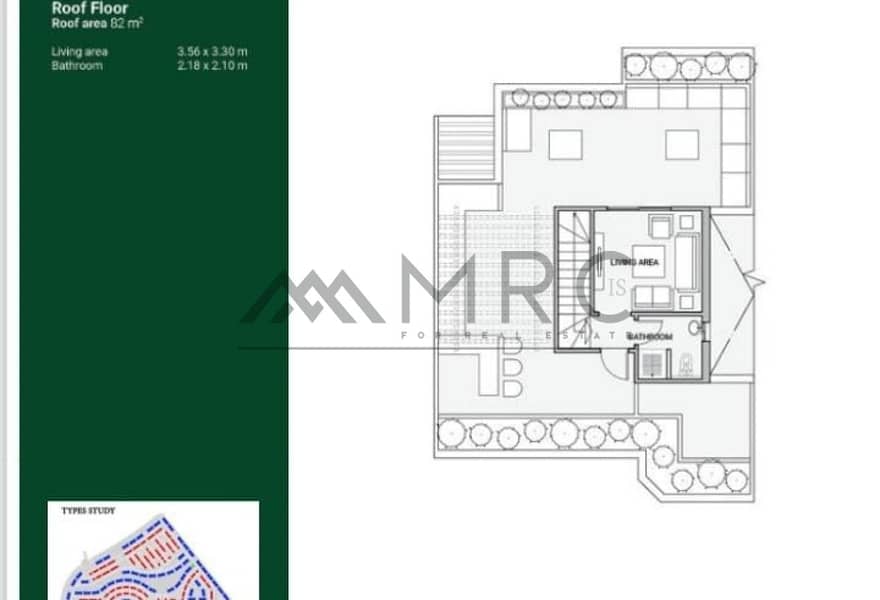 6 3502d488-f636-4347-9279-c59b18db86a5. jpg