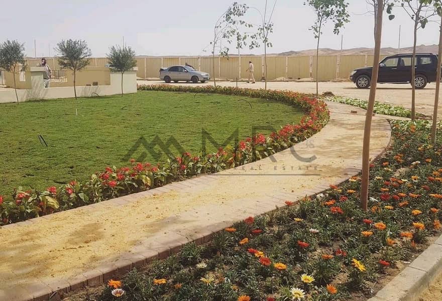 8 4690830d-e3bd-4898-ba0a-b2595ef7fe66. jpg