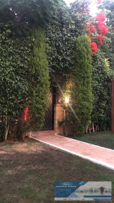 3 Bedroom Villa for Rent in New Cairo, Cairo - WhatsApp Image 2025-10-12 at 7.24. 26 PM (4). jpeg