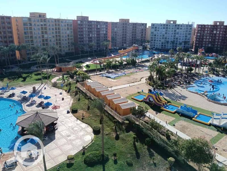 6 67309075-2ed8-4a88-953e-2efa9d1fe95b. jpg