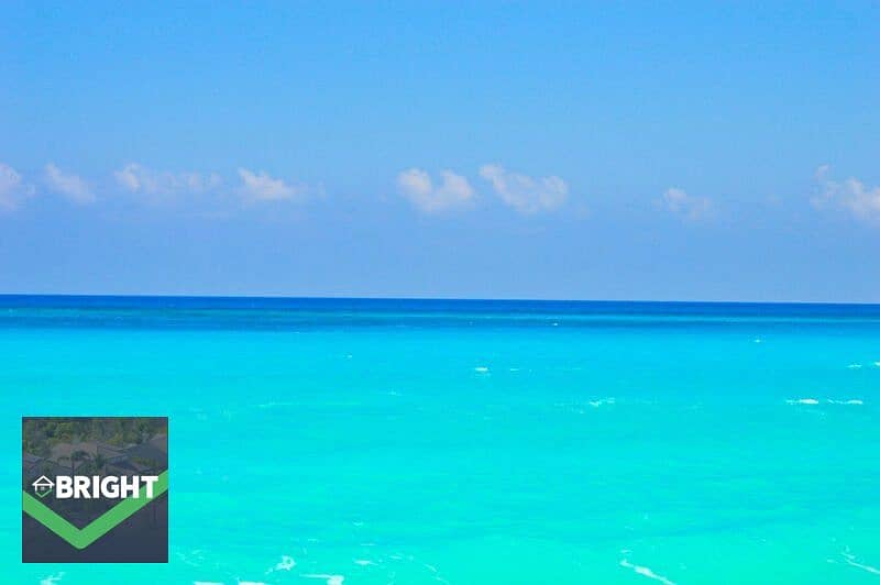 3 559697354_806421535134248_8970693751556689286_n. jpg