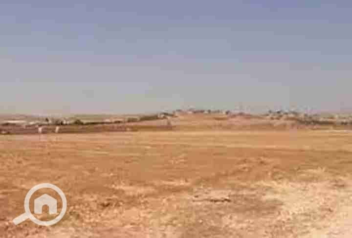 ٢٠٢٥٠٩٢٢_٠٨٥٤٣٢. jpg