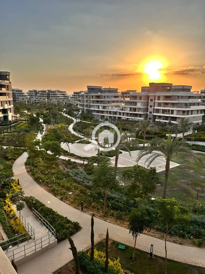 IMG_4003. jpeg IMG_4003. jpeg