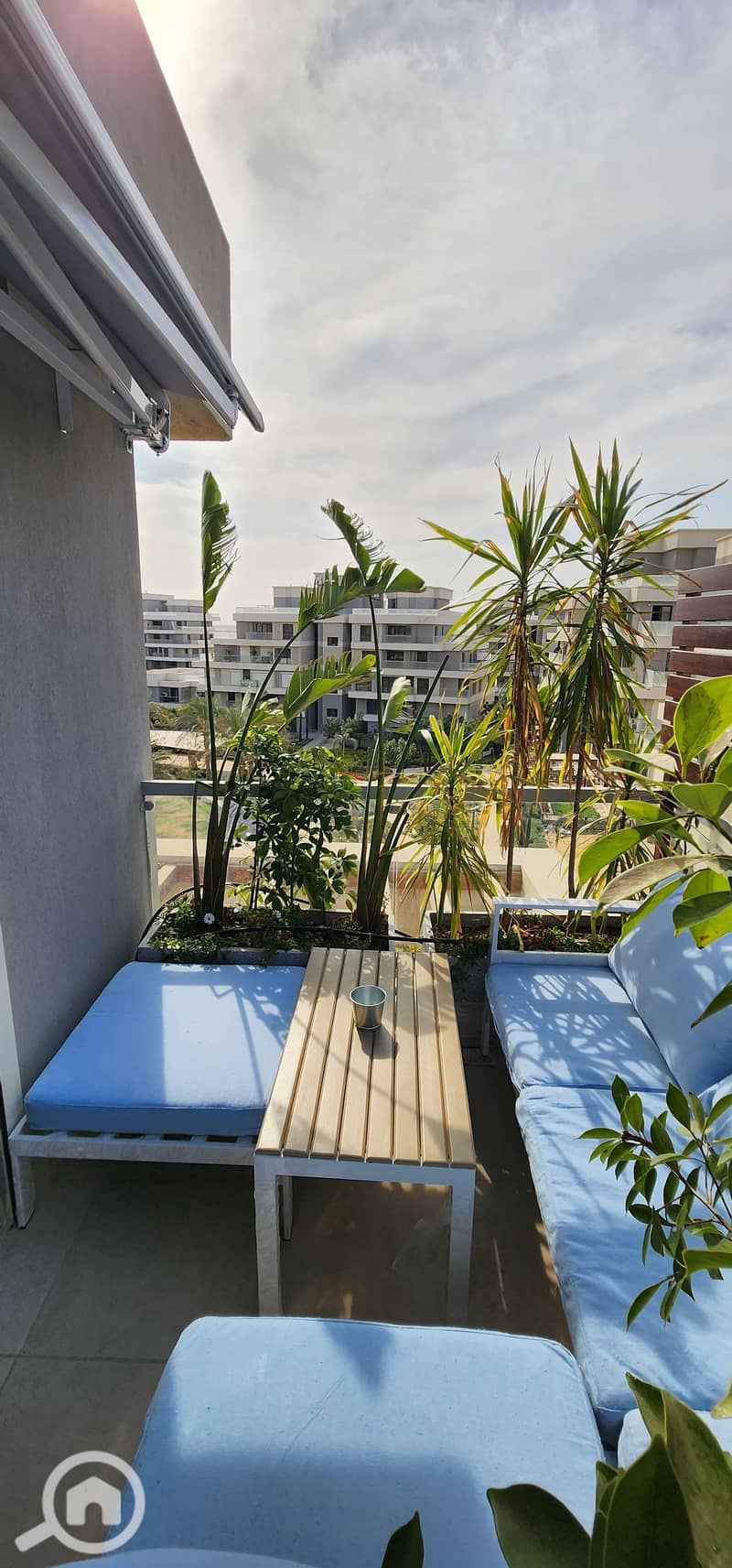 IMG_4001. jpeg IMG_4001. jpeg