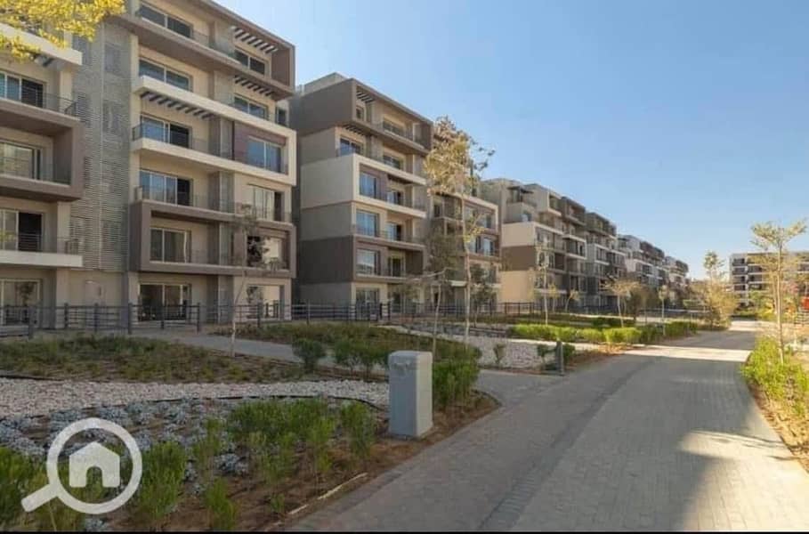 3 WhatsApp Image 2025-09-09 at 14.41. 36_b4708273. jpg