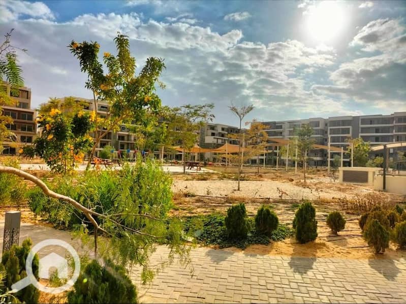 8 WhatsApp Image 2025-09-09 at 14.41. 38_5c8babe3. jpg