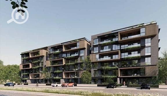 2 WhatsApp Image 2025-10-12 at 21.30. 29_a9fee61e. jpg