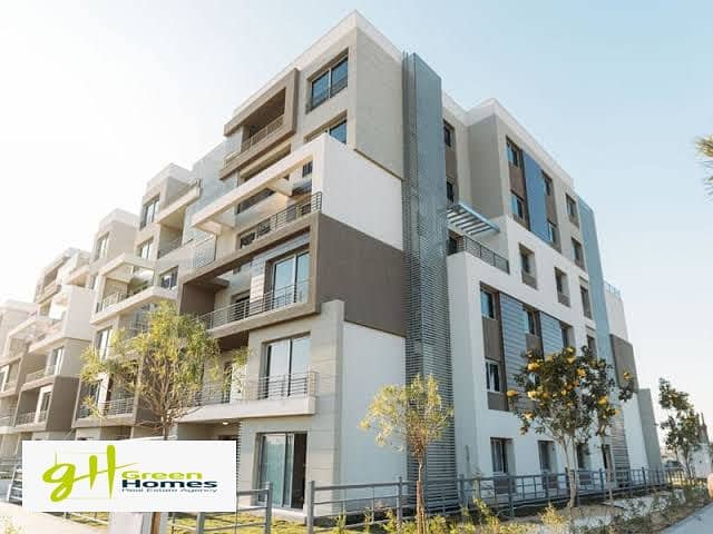 15 WhatsApp Image 2025-08-17 at 12.41. 43. jpeg