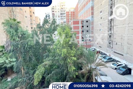 3 Bedroom Apartment for Sale in Seyouf, Alexandria - 15. png