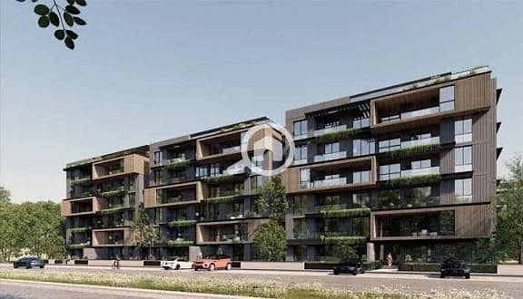 2 WhatsApp Image 2025-10-12 at 21.30. 29_a9fee61e. jpg