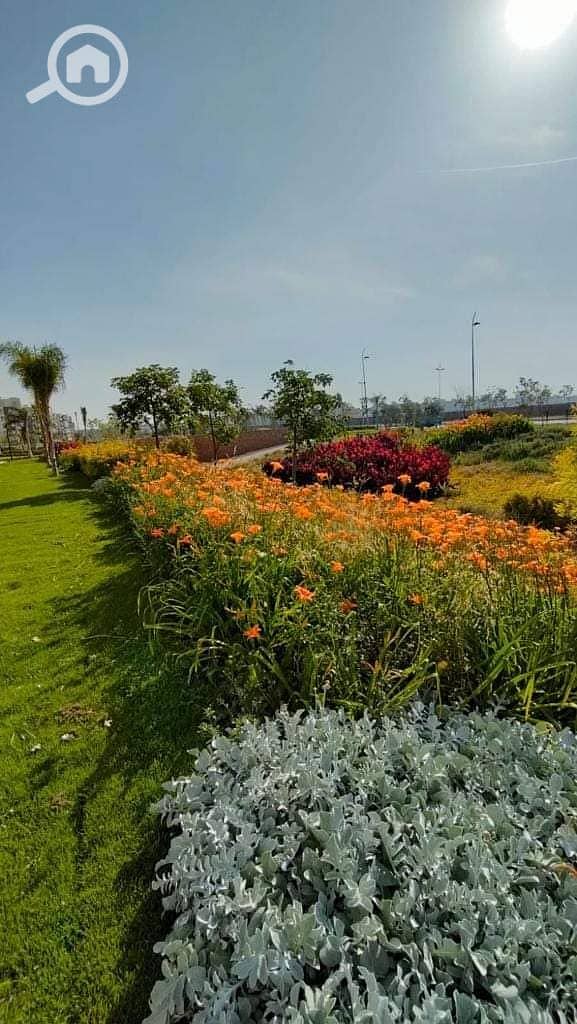 3 WhatsApp Image 2025-04-19 at 4.03. 37 PM (6). jpeg