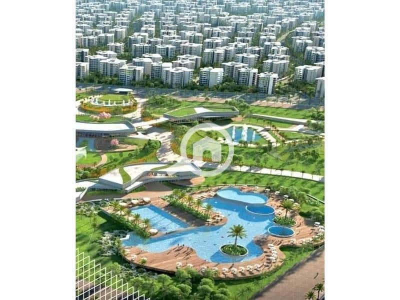 10 437523510_995690068582401_7766118783723674462_n. jpg