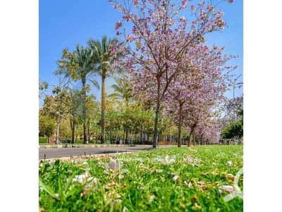 3 Bedroom Flat for Sale in Madinaty, Cairo - 87f4667b-dc45-4c78-96e5-56129cf6e3c0. jpg