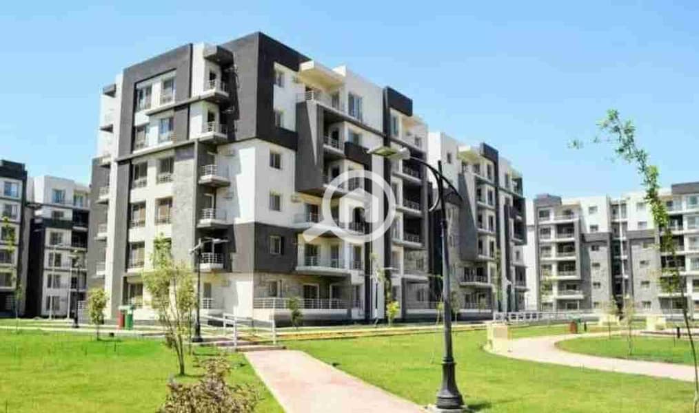 1000122744. jpg 1000122744. jpg