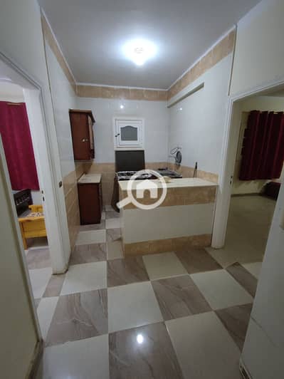 فلیٹ 2 غرفة نوم للايجار في العين السخنة، السويس - 1739890818235. jpg فلیٹ 2 غرفة نوم للايجار في العين السخنة، السويس - 1739890818235. jpg