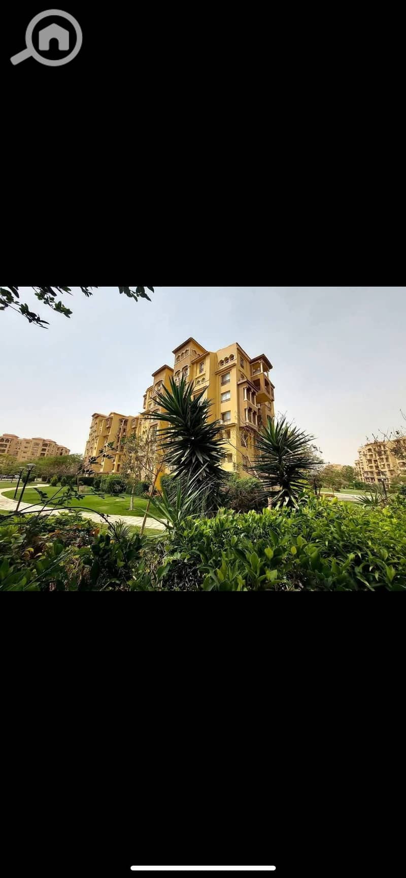 IMG_7079. png IMG_7079. png