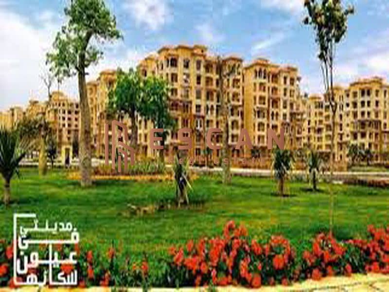 5 49fe8b79-a918-494f-9fa7-5a0c46016a89_800x600. jpg