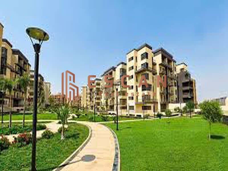 8 09403474-68b3-402e-8a40-a9579ffdc26a_800x600. jpg