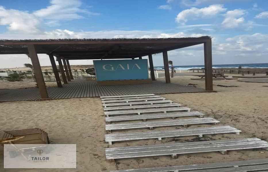 11 صورة واتساب بتاريخ 1446-06-15 في 17.23. 26_2241107a - Copy. jpg