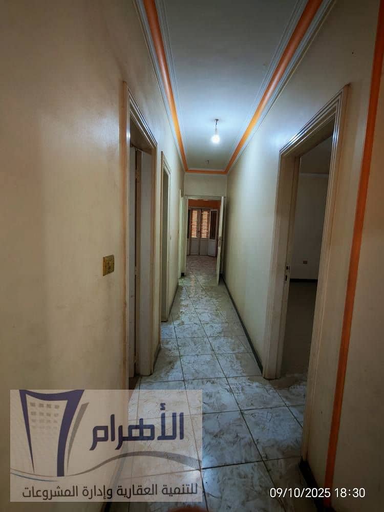 11 545382685_1087804080164459_2818345987691107764_n. jpg