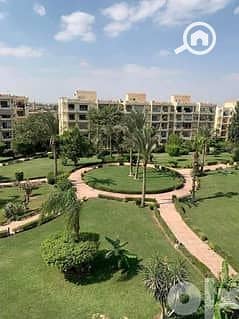 2 42055476-240x180 (1). jpeg