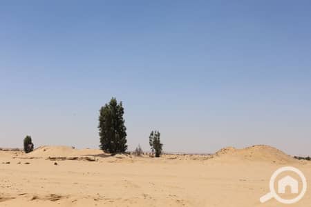 أرض سكنية  للبيع في 6 أكتوبر، الجيزة - IMG_0229. JPG