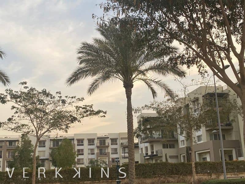 5 IMG-20230321-WA0175. jpg