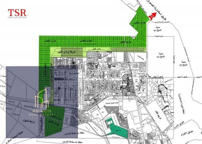 4 WhatsApp Image 2025-10-13 at 4.42. 55 PM. jpeg