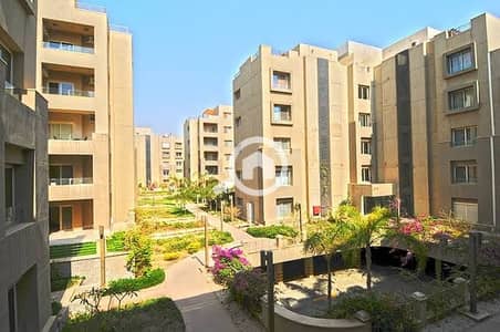 استوديو  للايجار في القاهرة الجديدة، القاهرة - WhatsApp Image 2025-10-13 at 17.17. 17_0dbe289d. jpg