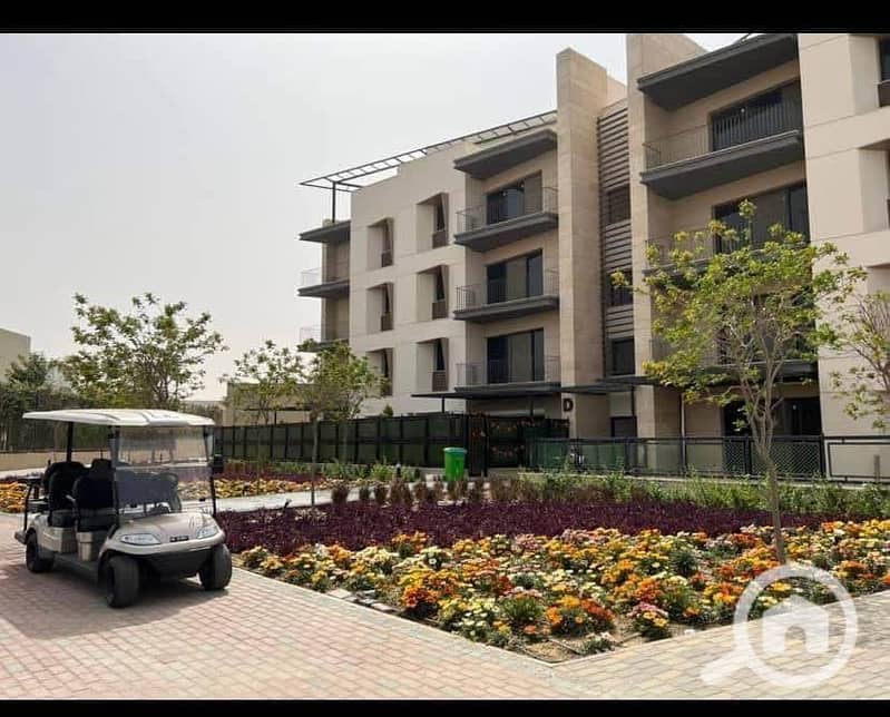 9 491811251_1407903520577346_4277683512903622078_n. jpg