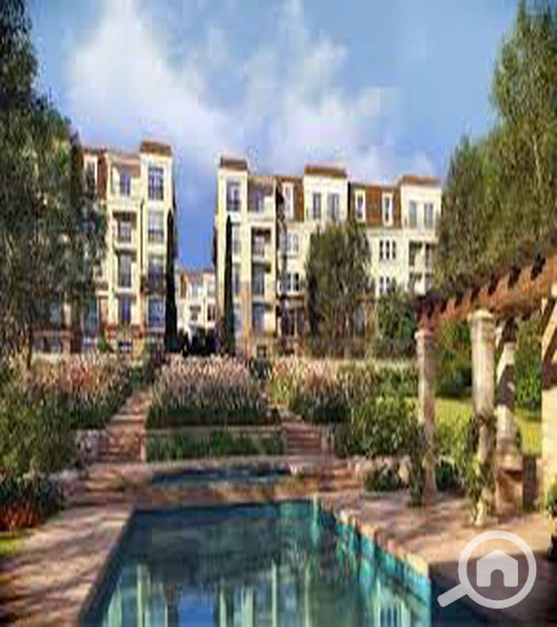 2 WhatsApp Image 2025-10-08 at 11.23. 20 AM_800x900. jpg