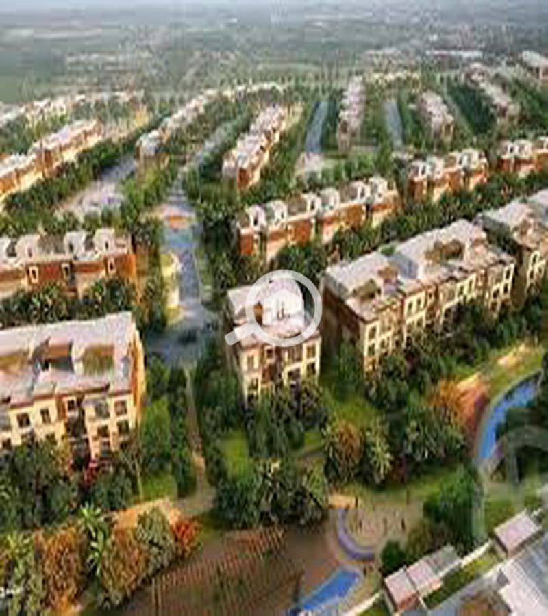 3 WhatsApp Image 2025-10-08 at 11.23. 22 AM (1)_800x900. jpg