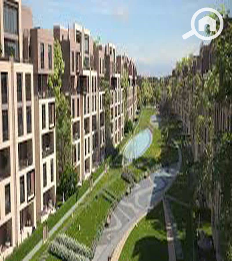 4 WhatsApp Image 2025-10-08 at 11.23. 22 AM (3)_800x900. jpg