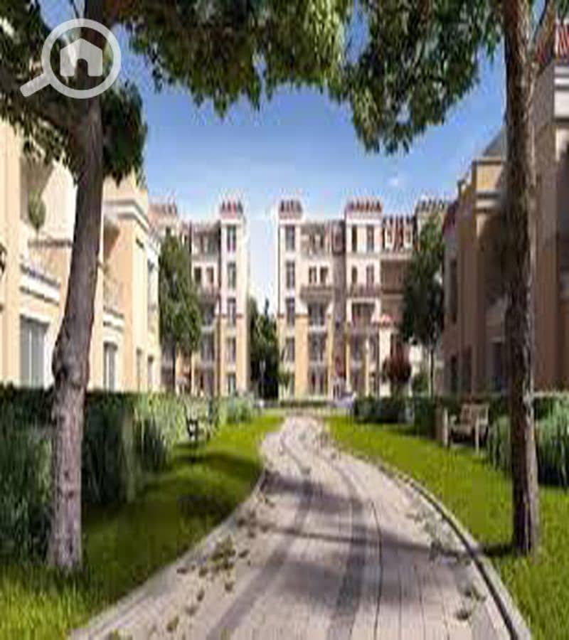 5 WhatsApp Image 2025-10-08 at 11.23. 23 AM (1)_800x900. jpg