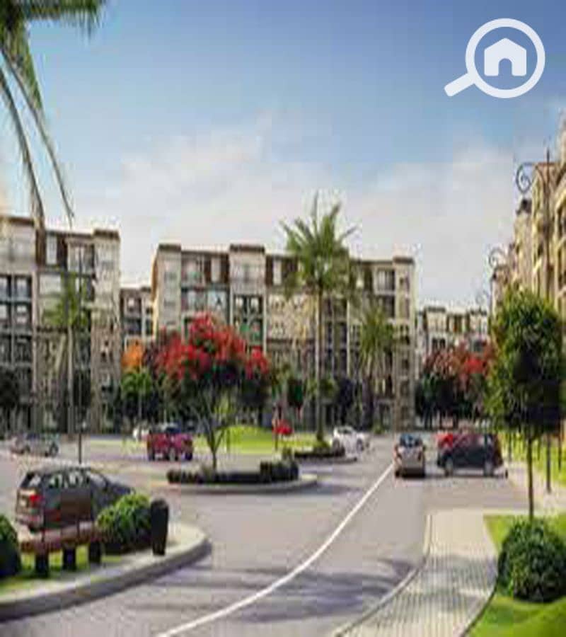 7 WhatsApp Image 2025-10-08 at 11.23. 26 AM (4)_800x900 (1). jpg