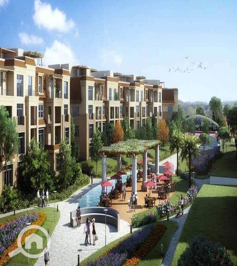 8 WhatsApp Image 2025-10-08 at 11.23. 27 AM (1)_800x900. jpg