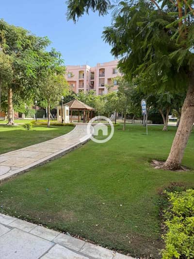 3 Bedroom Flat for Rent in New Cairo, Cairo - 5c4c436c-f1af-4623-93d1-95ce901fc568. jpg