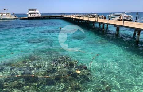 دوبلكس 3 غرف نوم للبيع في سوما باى، البحر الأحمر - WhatsApp Image 2025-07-09 at 01.32. 04_7034bbc4. jpg