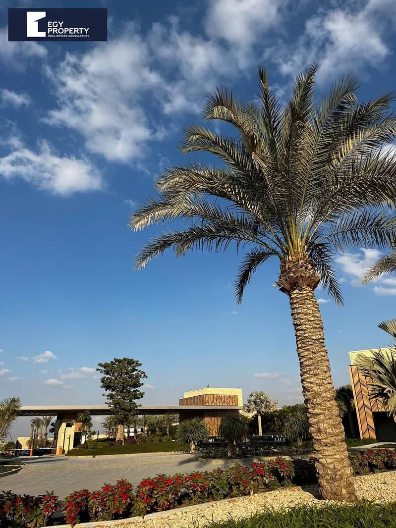 4 WhatsApp Image 2025-08-24 at 6.50. 24 AM. jpeg