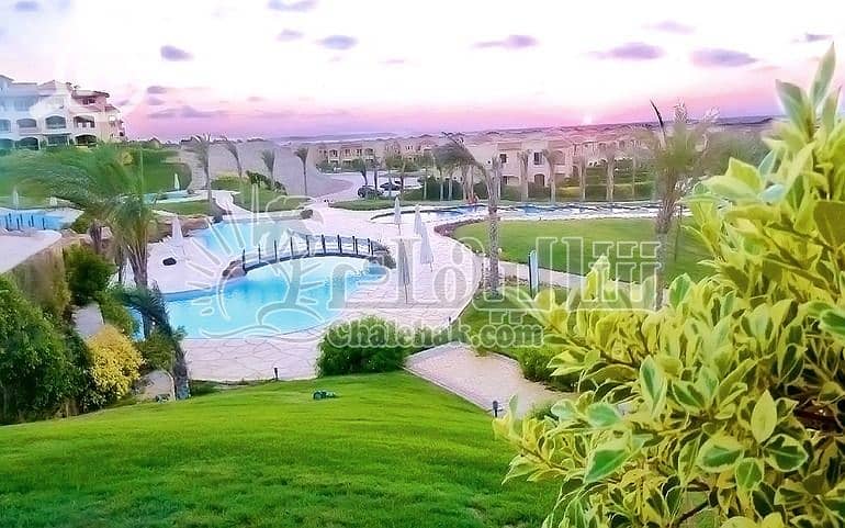 2 WhatsApp Image 2025-03-27 at 3.16. 19 PM. jpeg